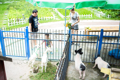 ŦԼ����(�й�)���޹�˾����