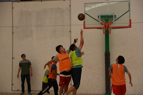 ŦԼ����(�й�)���޹�˾����