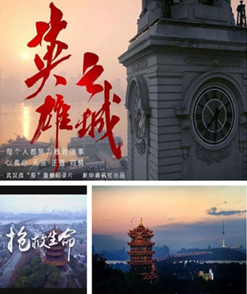 ŦԼ����(�й�)���޹�˾����