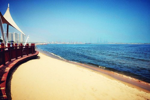 ŦԼ����(�й�)���޹�˾����