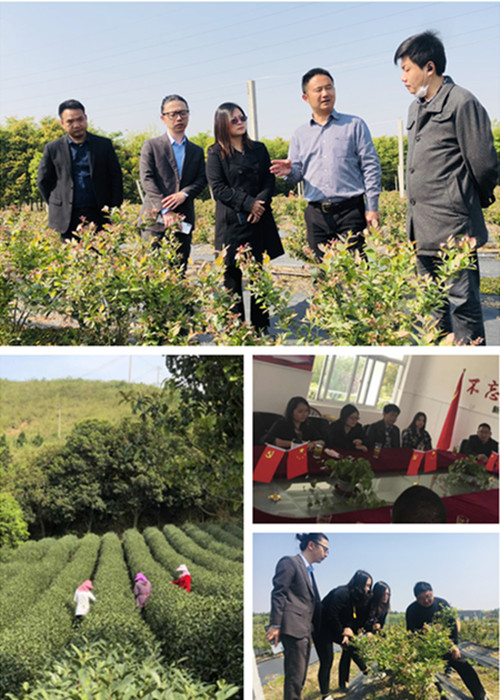 ŦԼ����(�й�)���޹�˾����