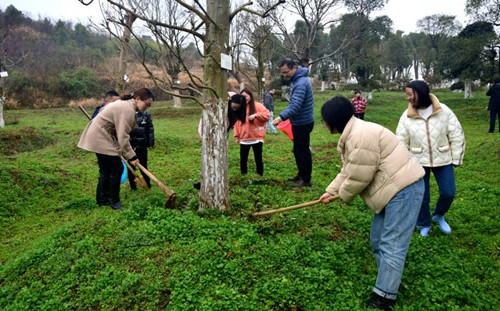 ŦԼ����(�й�)���޹�˾����